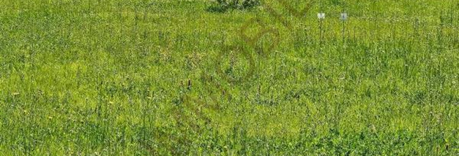 Terrain  1704 m² à vendre à Auxerre (89000)