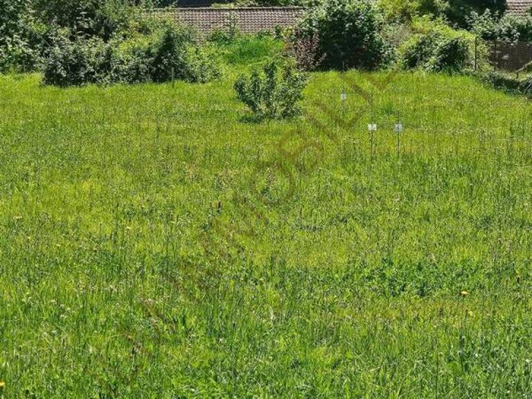 TERRAIN A BATIR AUXERRE PROCHE COMMODITES — photo 1
