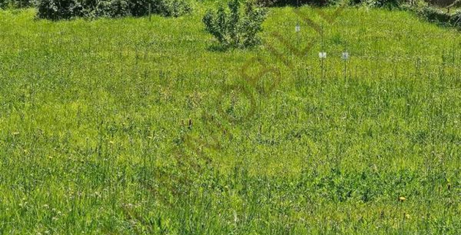 TERRAIN A BATIR AUXERRE PROCHE COMMODITES — photo 1