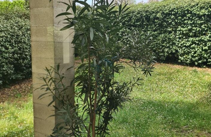 Appartement Villenave D Ornon 3 pièce(s) 62 m2 — photo 5