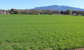 Terrain  9967 m² à vendre à Arthaz-Pont-Notre-Dame (74380)