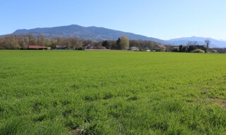 Photo N° 4