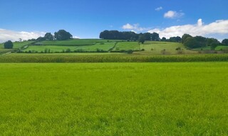 Terrain  5000 m² à vendre à Bidache (64520)