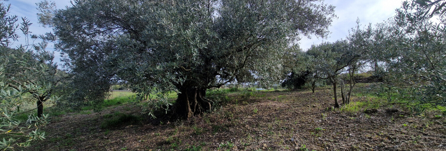 Maison   m² à vendre à Fontès (34320)