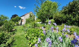 Photo N° 3