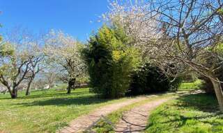 Photo N° 5