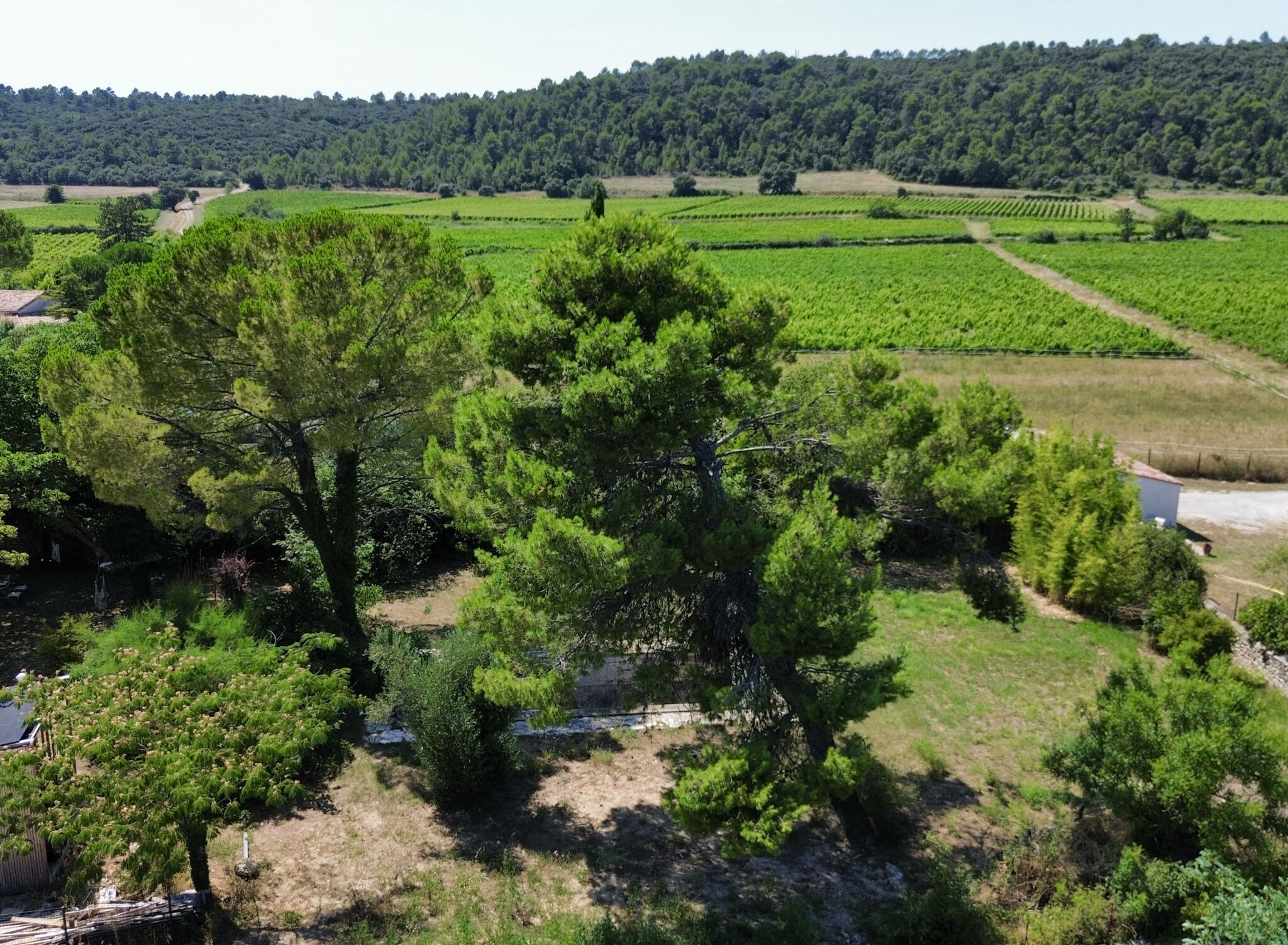 Terrain  à vendre Saint-Mathieu-de-Tréviers 34270