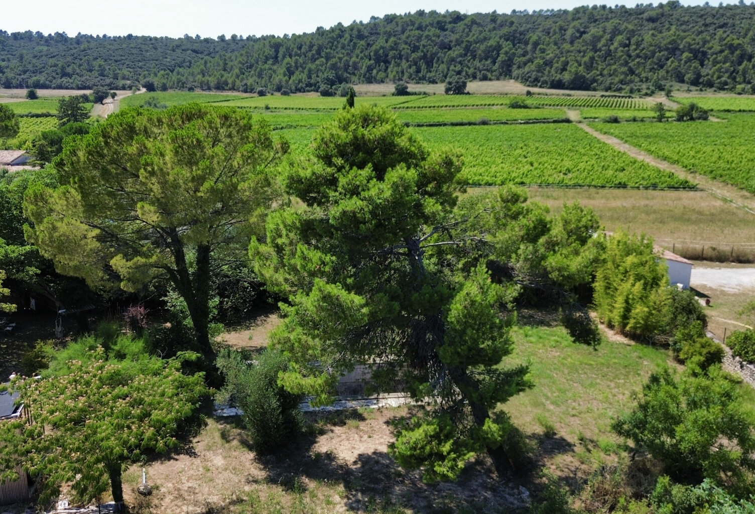 Terrain à bâtir de 1037m2 avec vue dominante — photo 1