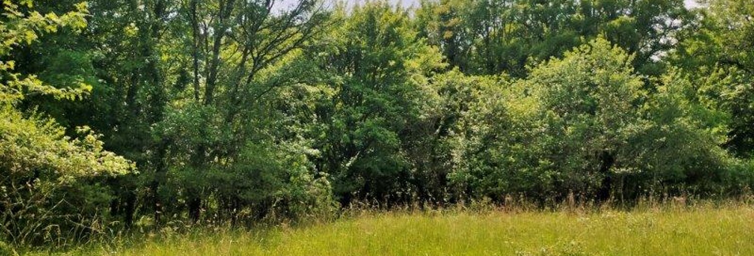 Terrain  1987 m² à vendre à Luzech (46140)