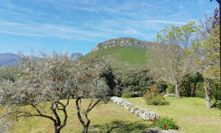 Photo N° 5