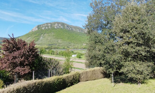 Photo N° 6