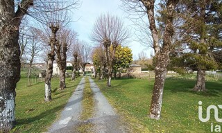 Photo N° 8