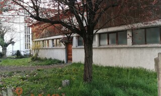 Photo N° 7