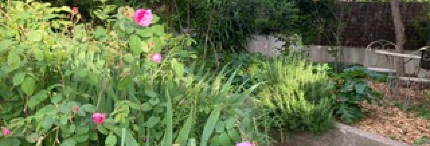 Maison 700 m² en viager Sète (34200)