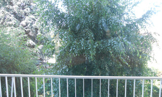 Photo N° 3