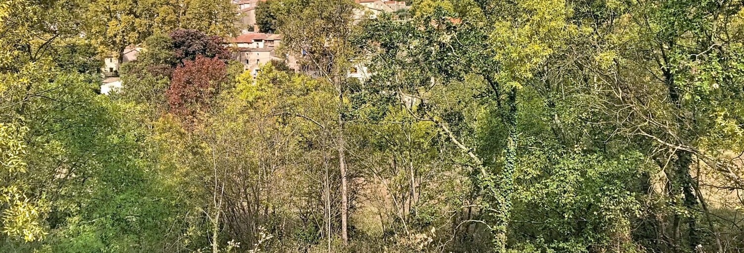 Terrain  1084 m² à vendre à Soubès (34700)