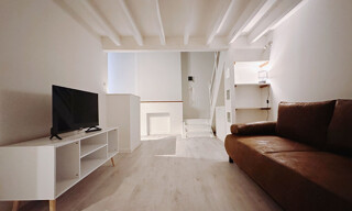 Appartement 1 Pièce 20 m² à louer à Lyon 1 (69001)