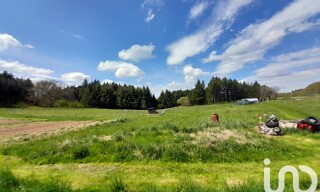Photo N° 4