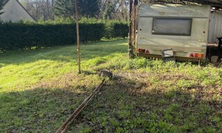 Photo N° 3
