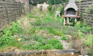 Photo N° 2