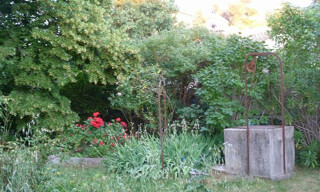 Photo N° 6