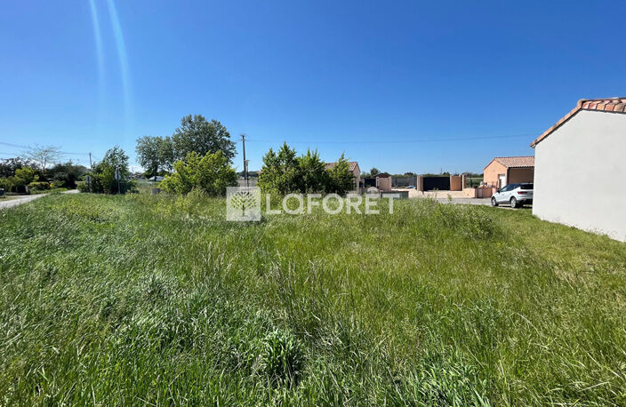 SAVERDUN — photo 2