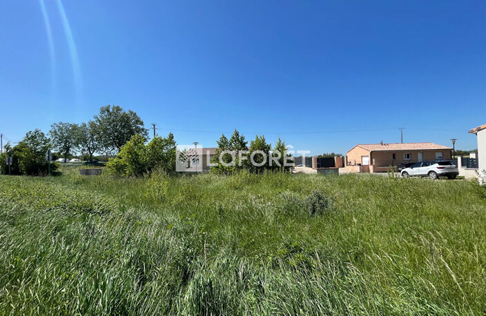 SAVERDUN — photo 3