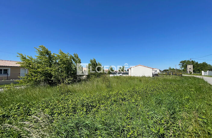 SAVERDUN — photo 4