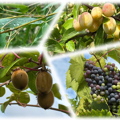 Maison 7 pièces 299999 €