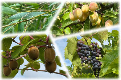 Maison 7 pièces 299999 €