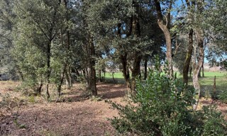Terrain  1000 m² à vendre à Le Verdon-sur-Mer (33123)