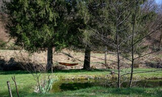 Photo N° 4