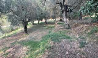 Terrain  1950 m² à vendre à Contes (06390)