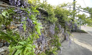 Photo N° 3