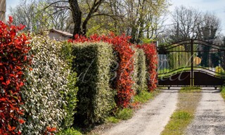Photo N° 2