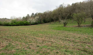 Terrain  6044 m² à vendre à Revel (31250)