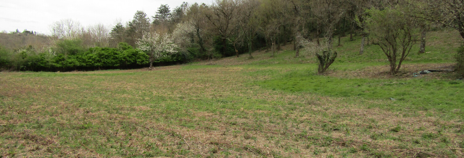 Terrain  6044 m² à vendre à Revel (31250)