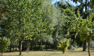 Photo N° 7