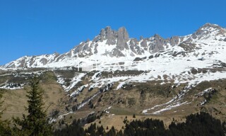 Photo N° 5