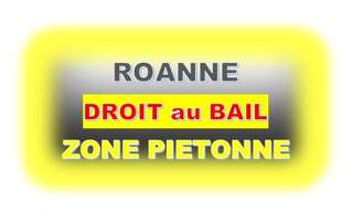 Commerce 1 Pièce 55 m² à vendre à Roanne (42300)