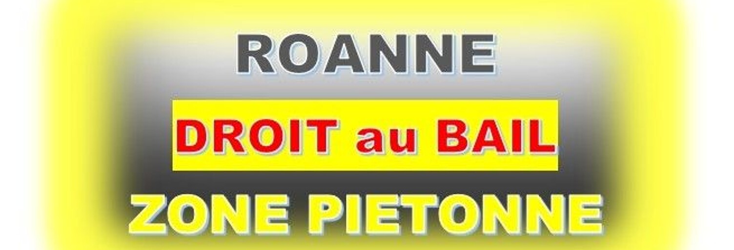Commerce 1 Pièce 55 m² à vendre à Roanne (42300)