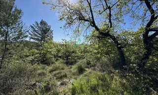 Terrain  4668 m² à vendre à Le Rouret (06650)