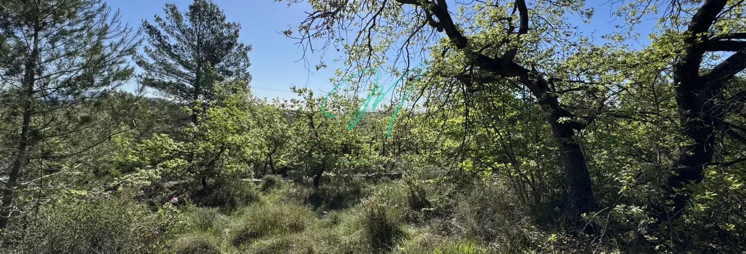 Terrain  4668 m² à vendre à Le Rouret (06650)