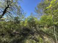 Le Rouret - Terrain inconstructible — photo 3