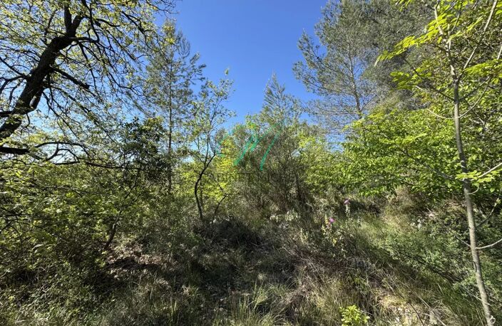 Le Rouret - Terrain inconstructible — photo 3