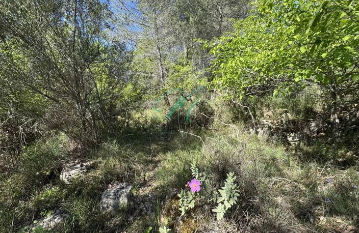 Le Rouret - Terrain inconstructible — photo 4