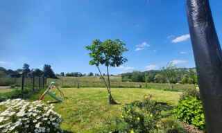 Photo N° 6