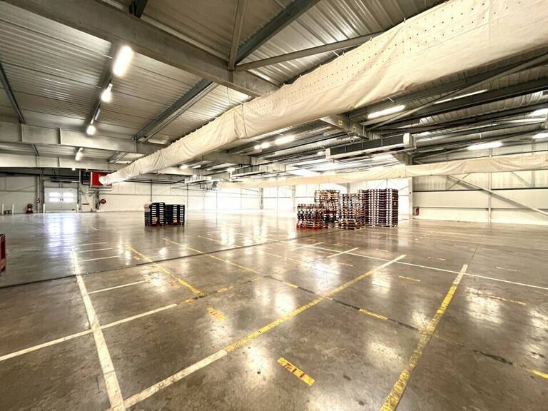 ENTREPOT - LOGISTIQUE à LOUER — photo 1