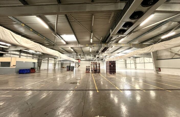 ENTREPOT - LOGISTIQUE à LOUER — photo 3