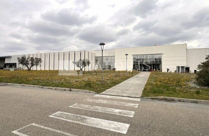 ENTREPOT - LOGISTIQUE à LOUER — photo 5